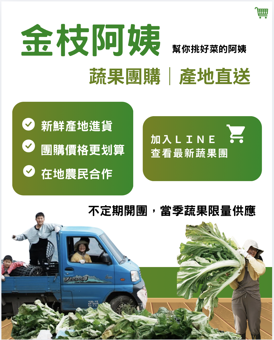 金枝阿姨蔬果團購
